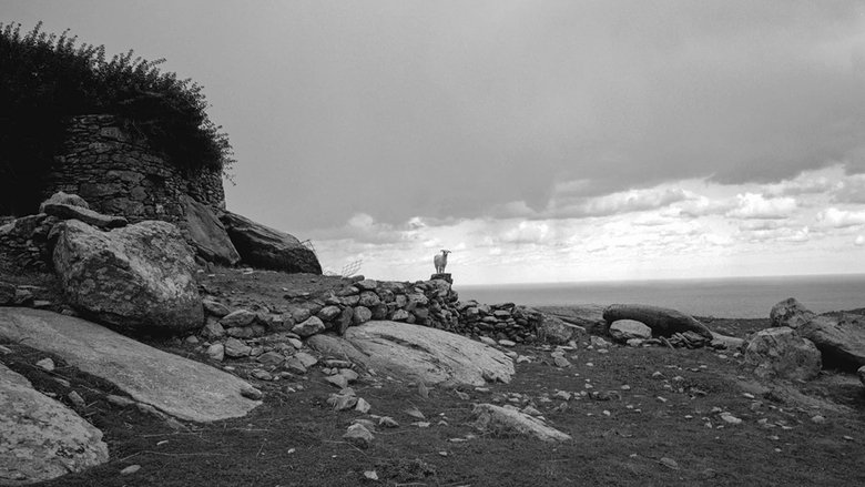Backdrop image for movie Bleat