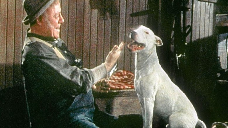 Backdrop image for movie It's a Dog's Life