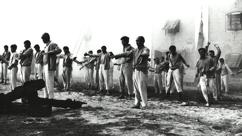 Backdrop image for movie Holy Sand