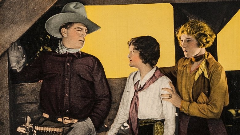Backdrop image for movie The Saddle Hawk