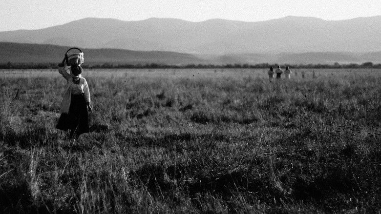 Backdrop image for movie Doina