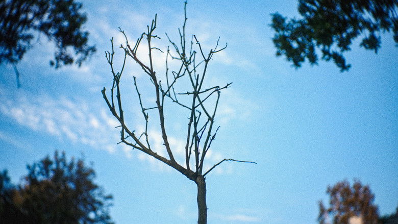 Backdrop image for movie The River of Lethe