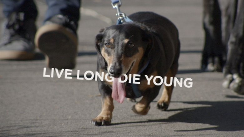 Backdrop image for movie Live Long Die Young