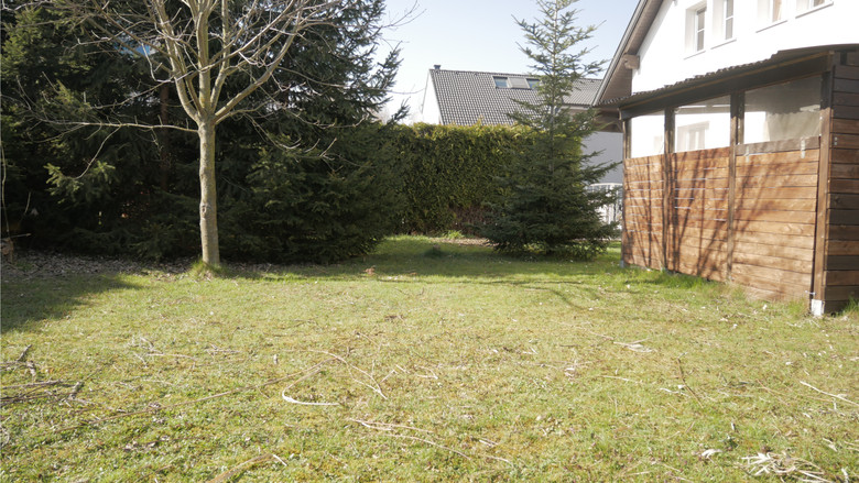 Backdrop image for movie Pages