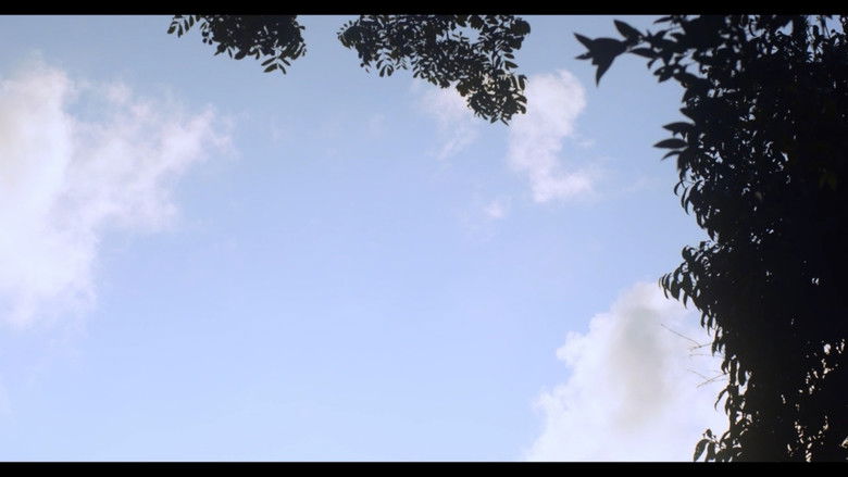 Backdrop image for movie 15 Dias