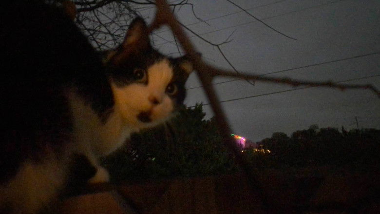 Backdrop image for movie Under the Weight of a Waking Dream