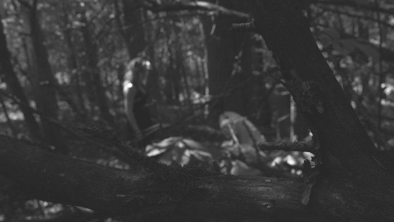 Backdrop image for movie The Poet