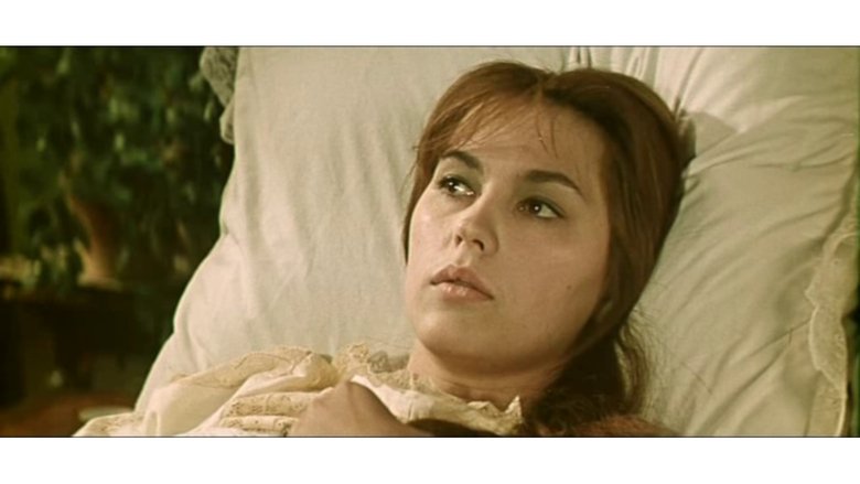 Backdrop image for movie Belated Flowers