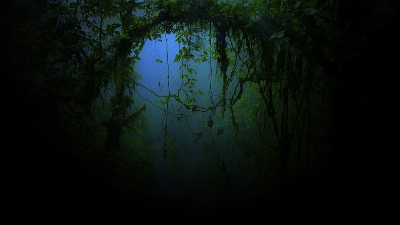 Backdrop image for movie From Shock to Awe