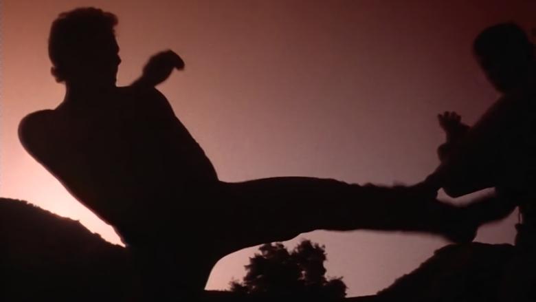 Backdrop image for movie Savate