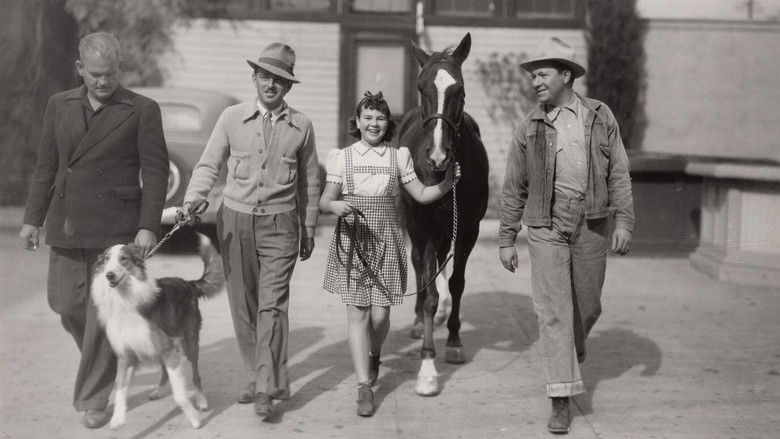 Backdrop image for movie Checkers