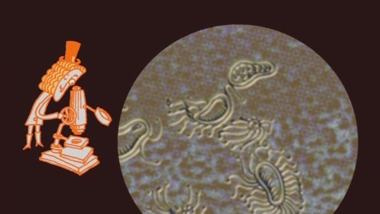 Backdrop image for movie Le petit vélo dans la tête