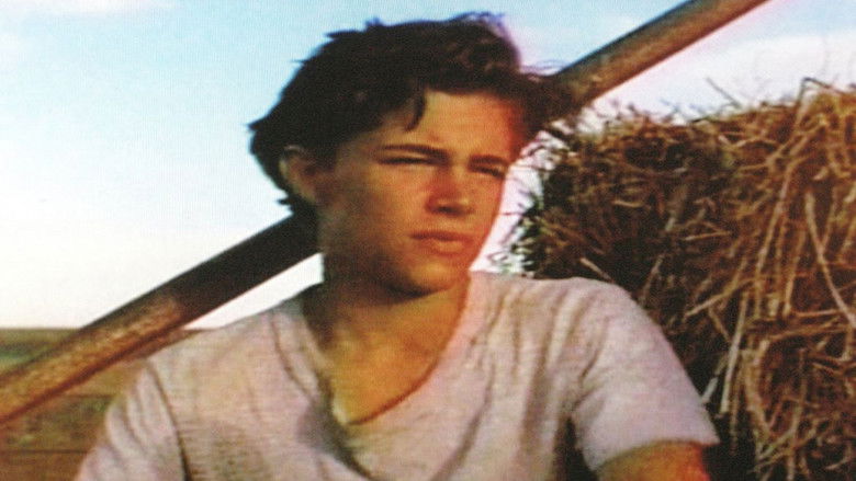 Backdrop image for movie Shimmer