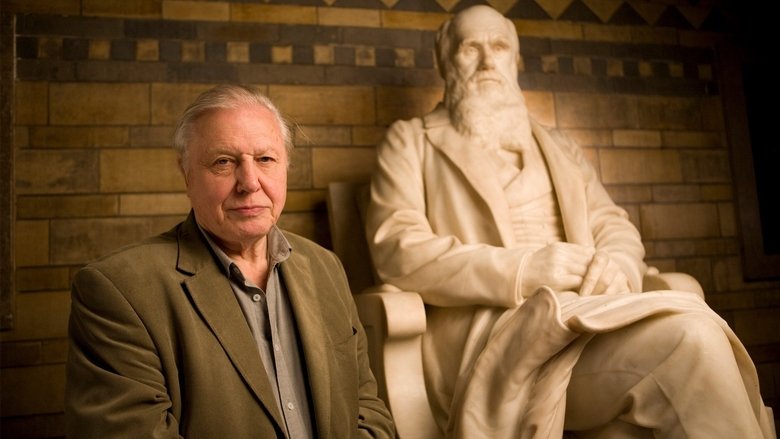 Backdrop image for movie Charles Darwin and the Tree of Life
