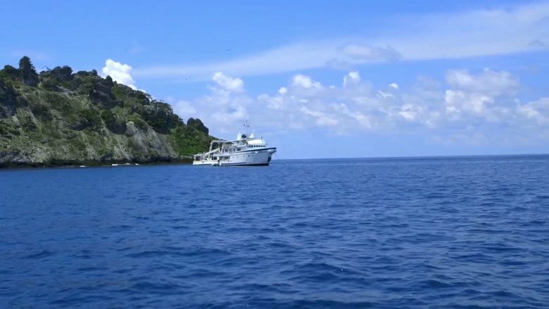 Backdrop image for movie Shark Land: Welcome to Cocos Island