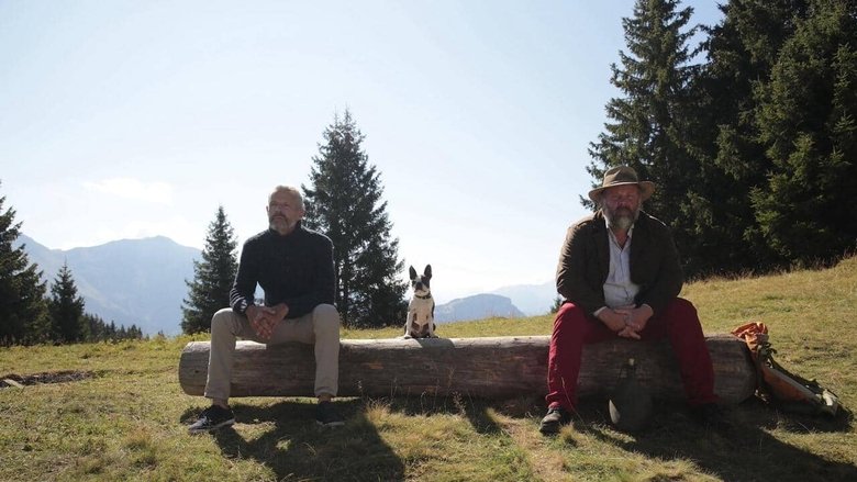 Backdrop image for movie A Great Friend