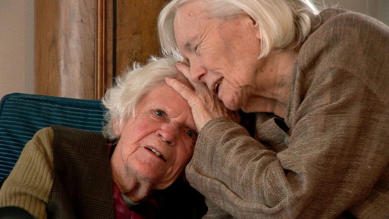 Backdrop image for movie The Promise