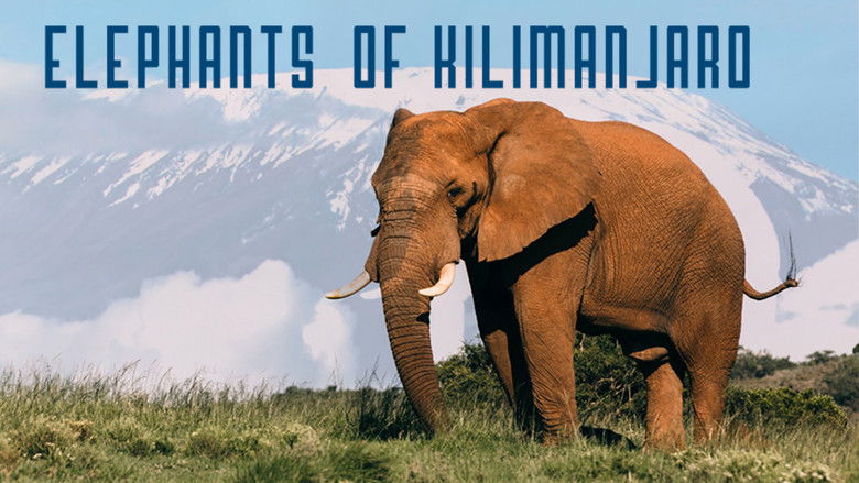 Backdrop image for movie Elephants of Kilimanjaro