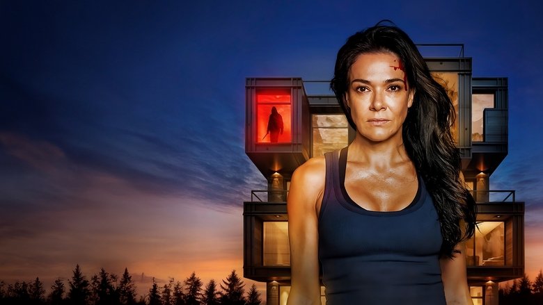 Backdrop image for movie Hard Home