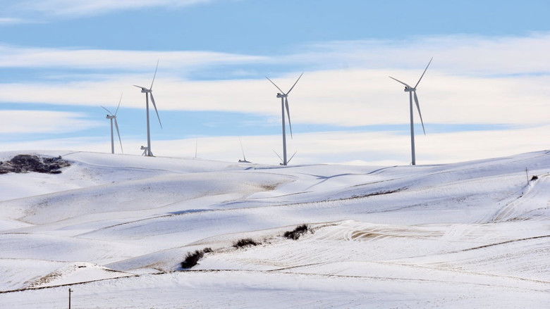 Backdrop image for movie Climate: The Movie (The Cold Truth)