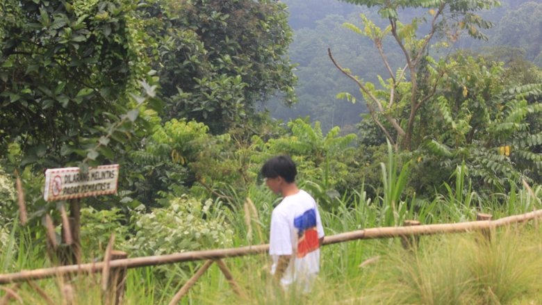 Backdrop image for movie Around Java