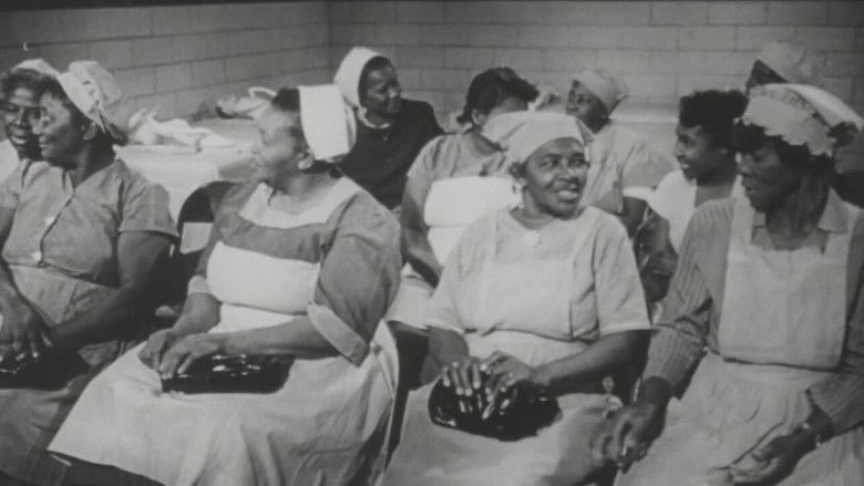 Backdrop image for movie All My Babies... A Midwife's Own Story