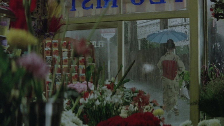 Backdrop image for movie A Geisha's Diary