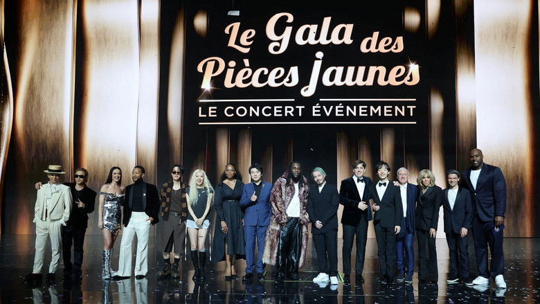 Backdrop image for movie Le Gala des pièces jaunes 2025 : Le concert événement