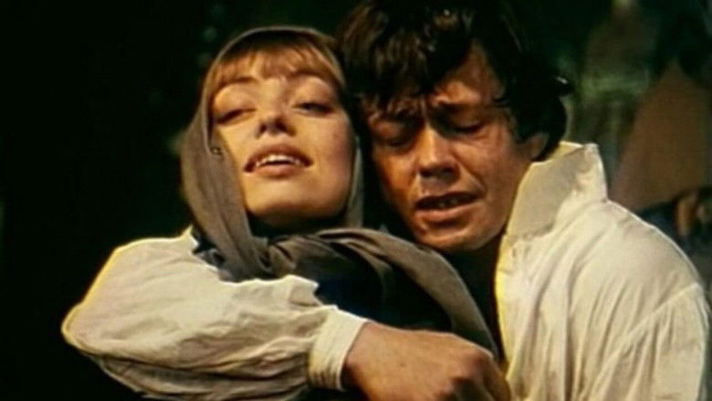 Backdrop image for movie Juno and Avos