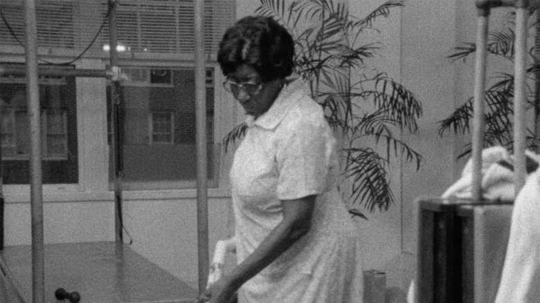 Backdrop image for movie Fannie's Film