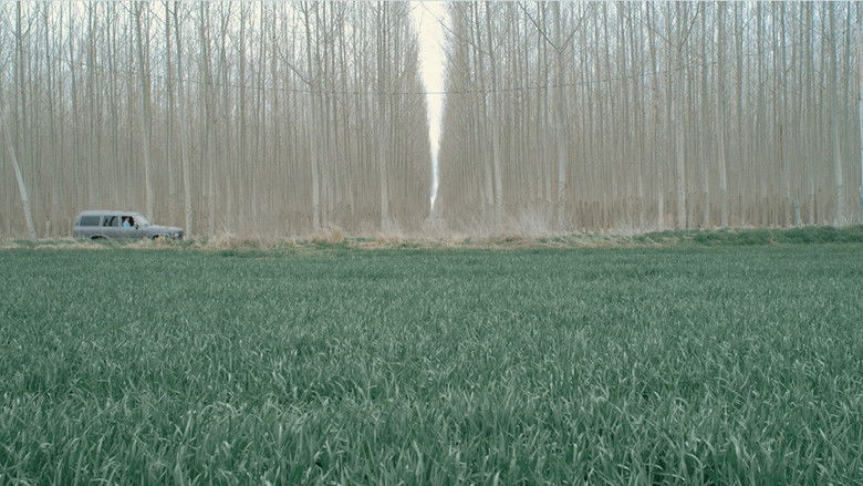 Backdrop image for movie Symmetropia