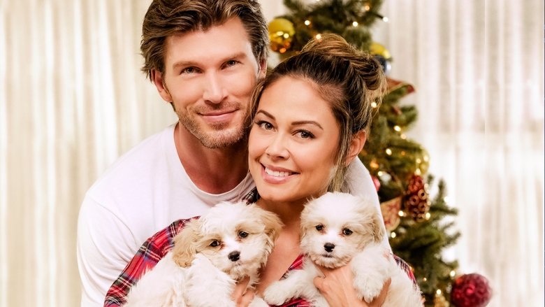 Backdrop image for movie Christmas Unleashed