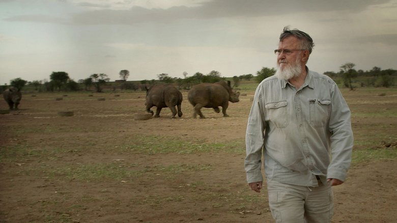 Backdrop image for movie Trophy