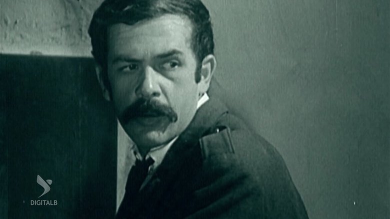 Backdrop image for movie Stars of Long Nights