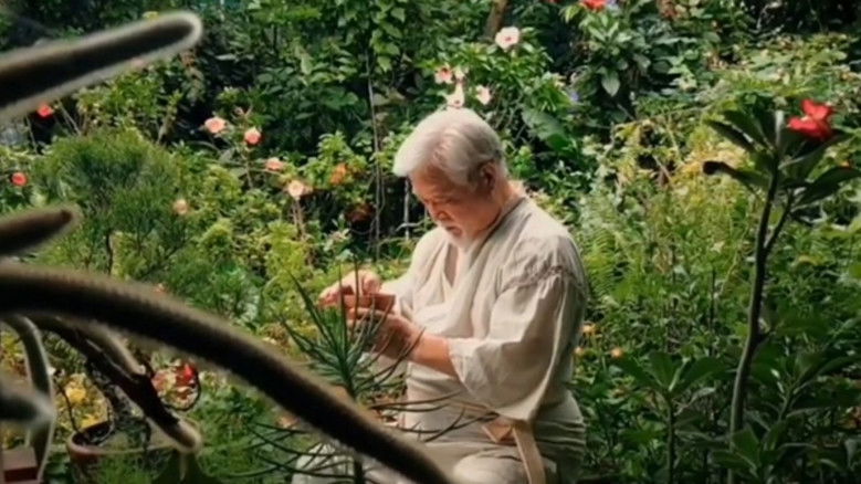 Backdrop image for movie Eternal Return