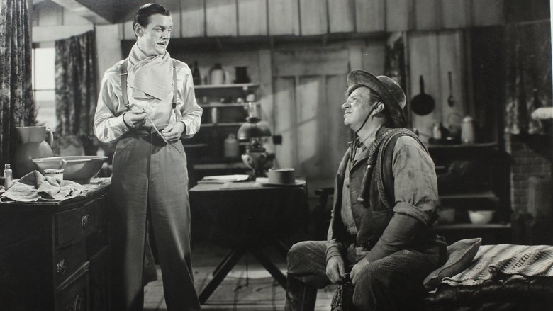 Backdrop image for movie 20 Mule Team