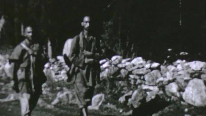 Backdrop image for movie Kashmir
