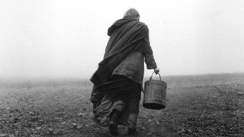 Backdrop image for movie The Turin Horse