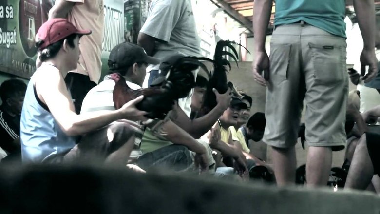 Backdrop image for movie Ang Sugarol