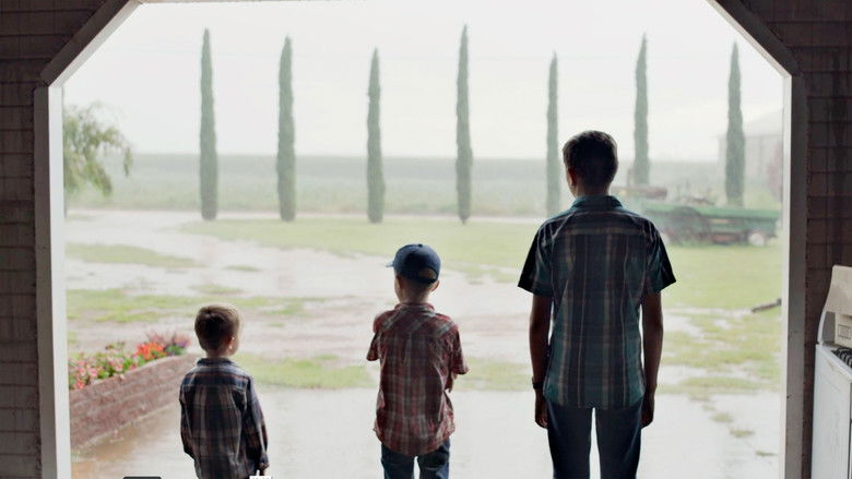 Backdrop image for movie The light that fills the world