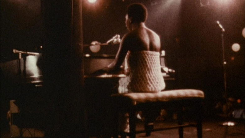 Backdrop image for movie Nina: A Historical Perspective