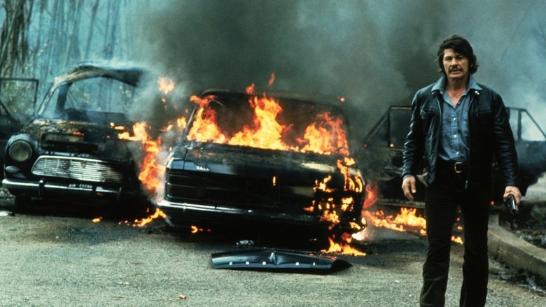 Backdrop image for movie The Mechanic