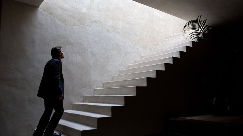 Backdrop image for movie Knight of Cups