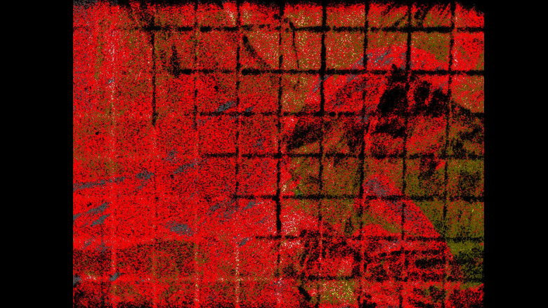 Backdrop image for movie Losing Touch