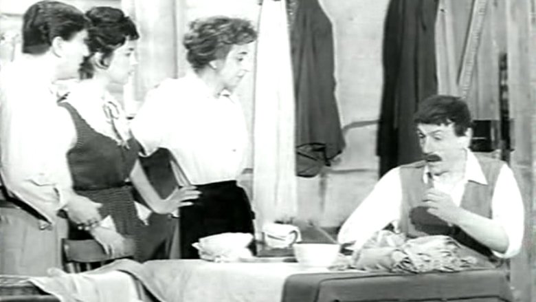 Backdrop image for movie Sogno di una notte di mezza sbornia