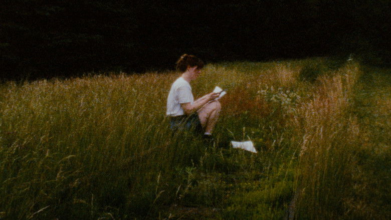 Backdrop image for movie Solitudes