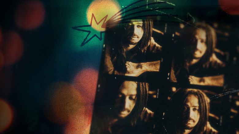 Backdrop image for movie Music Box: Counting Crows: Have You Seen Me Lately?