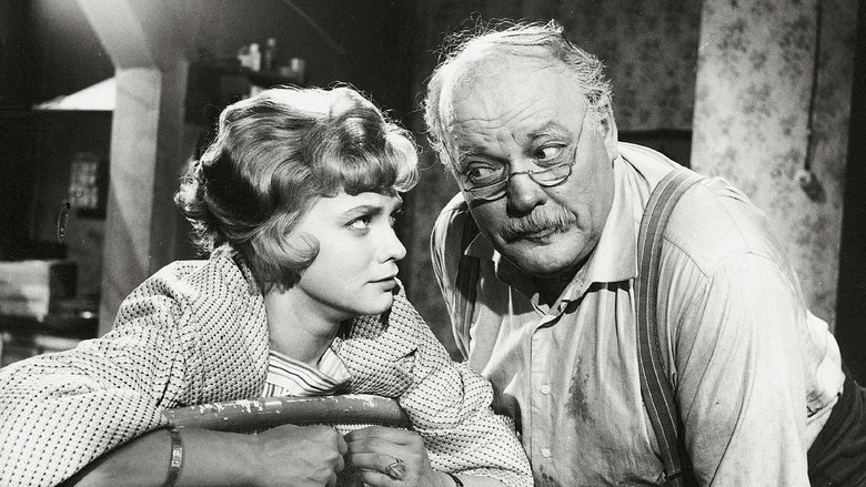 Backdrop image for movie Pinsiön parooni