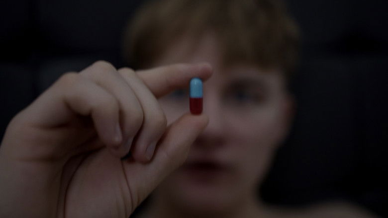 Backdrop image for movie The Return Of Zappy