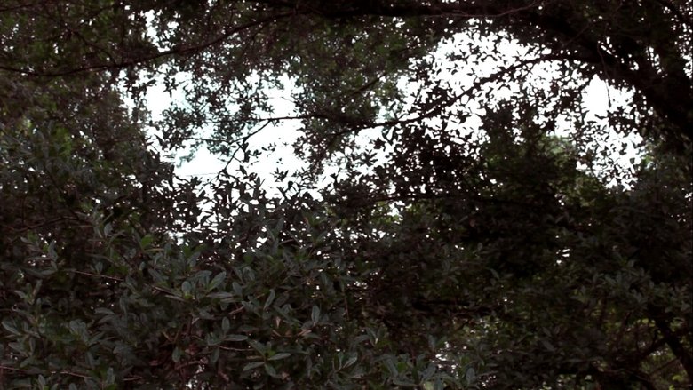 Backdrop image for movie Colors (A Visual Poem)